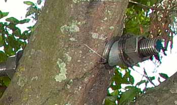 Minneola FL system, tree cutting rope