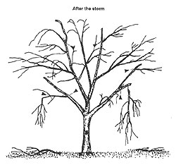 restoring tree illustration