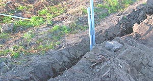 an air spade can open a trench without damaging roots
