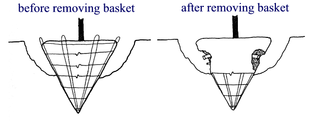Removing the basket from a root ball