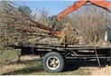 pick up tree with wide straps