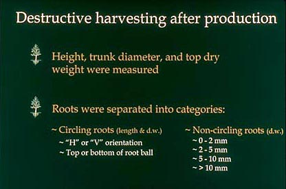 destructive harvsting after production slide