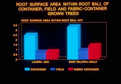 root surface area graph for fabric container grown trees