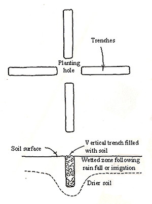 reducing runoff diagram