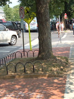 tree in cutout wiht wire barrier/railing around cut out