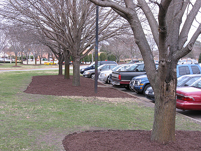 Correct mulching