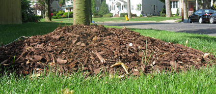 excess mulch and soil over tree root ball