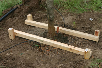 2 X 2 wooden staking system