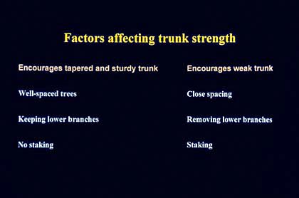factors affectng trunk strength slide