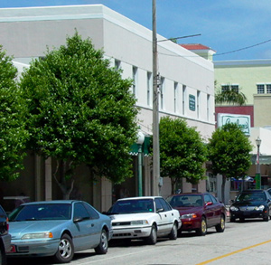 trees in sidewalk