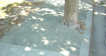 rock dust even with concrete sidewalk