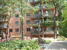 trees growing by building