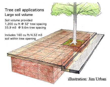 tree cell applications