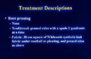 treatment descriptions
