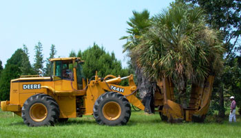 tractor moving tree