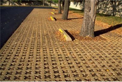 prous pavers near tree