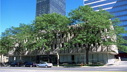trees along building