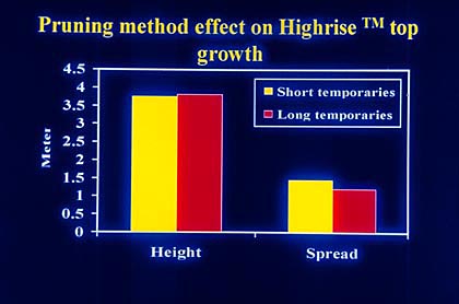 pruning method effecton highrise top growth